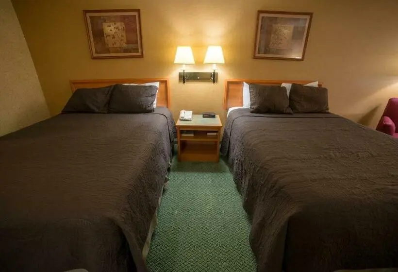 スタンダードルーム, Surestay Plus By Best Western Enterprise