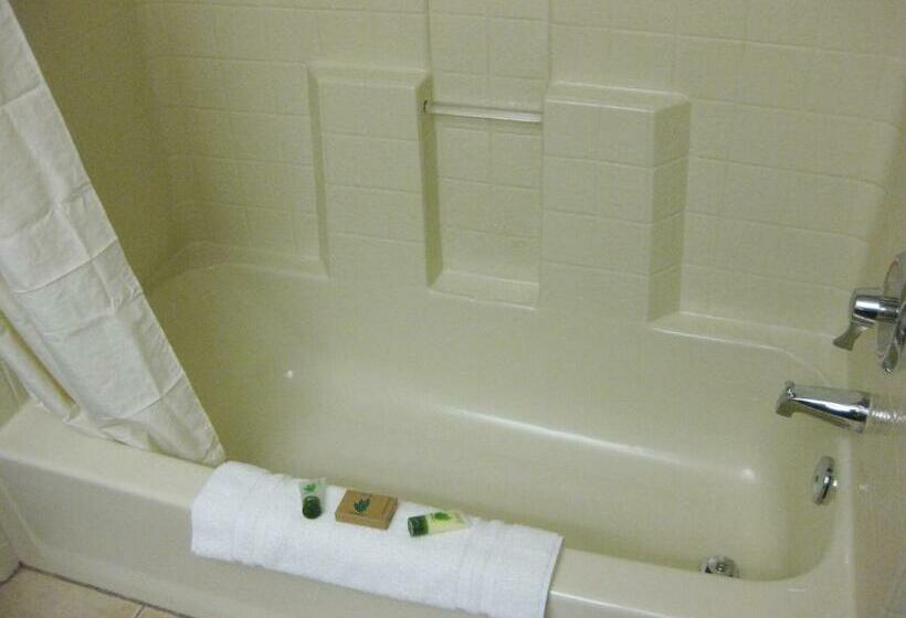 חדר סטנדרט, Surestay Plus By Best Western Enterprise