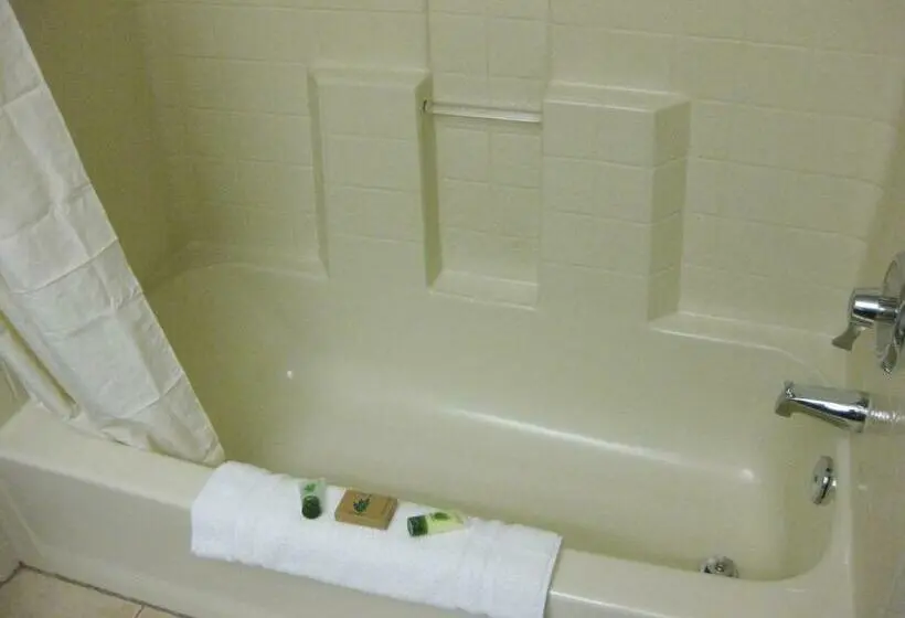 スタンダードルーム, Surestay Plus By Best Western Enterprise