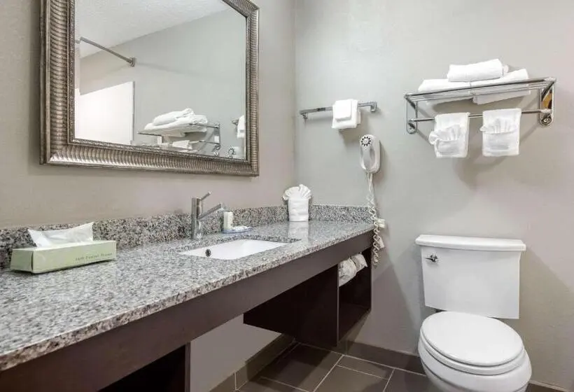 Standard-huone King-vuode, Quality Inn & Suites Brownsburg Indianapolis West