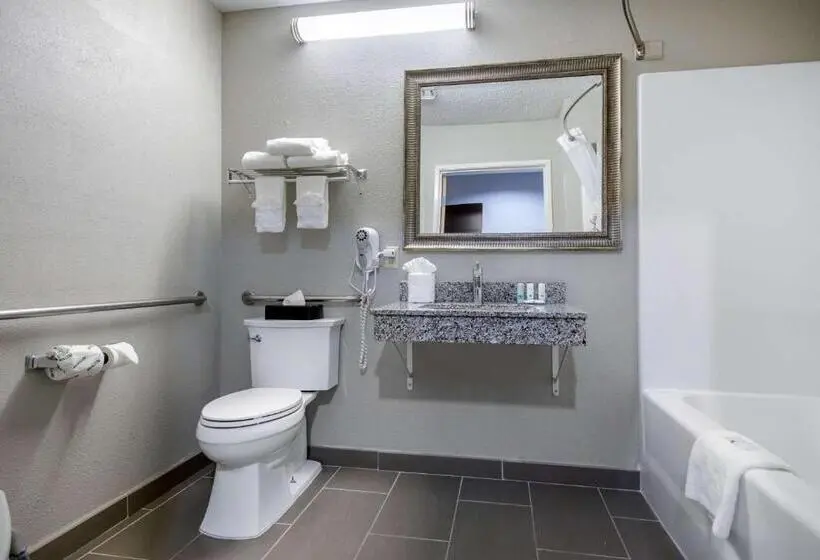 Standard-invahuone King-vuode, Quality Inn & Suites Brownsburg Indianapolis West