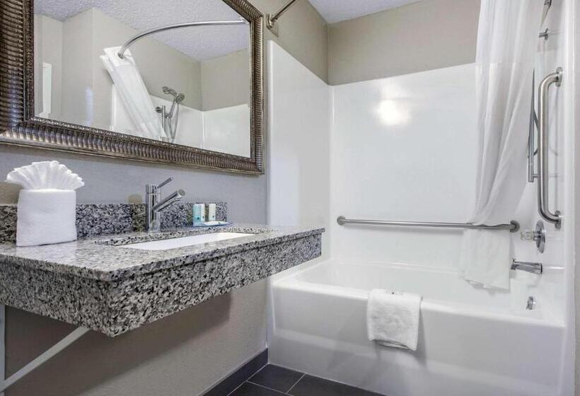 غرفة قياسية سرير كينج لذوى الإحتياجات الخاصة, Quality Inn & Suites Brownsburg   Indianapolis West