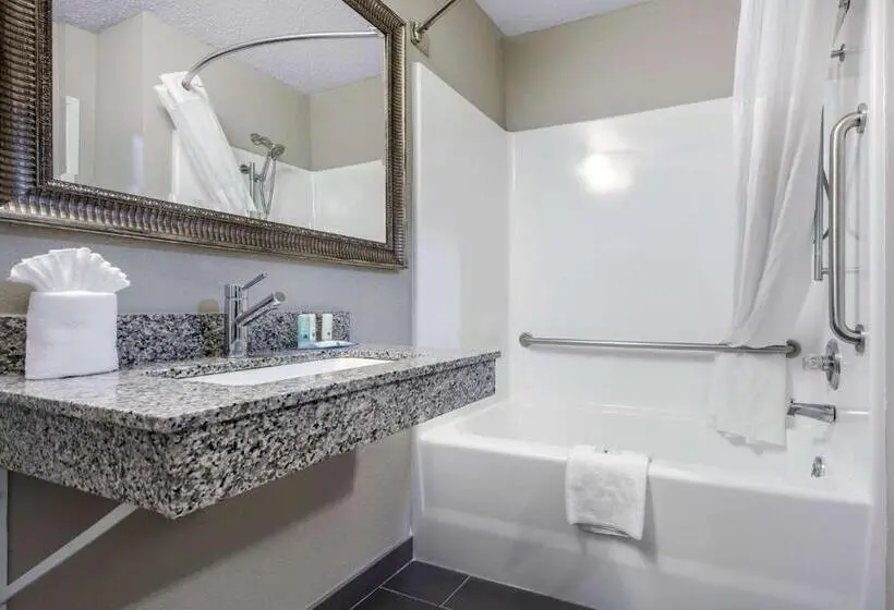 Standard-invahuone King-vuode, Quality Inn & Suites Brownsburg Indianapolis West