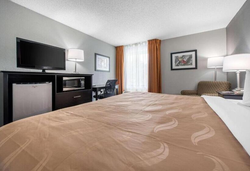 غرفة قياسية سرير كينج لذوى الإحتياجات الخاصة, Quality Inn & Suites Brownsburg   Indianapolis West