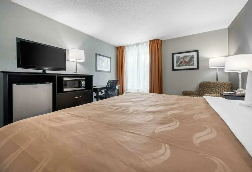 Deluxe-huone King-vuode, Quality Inn & Suites Brownsburg Indianapolis West