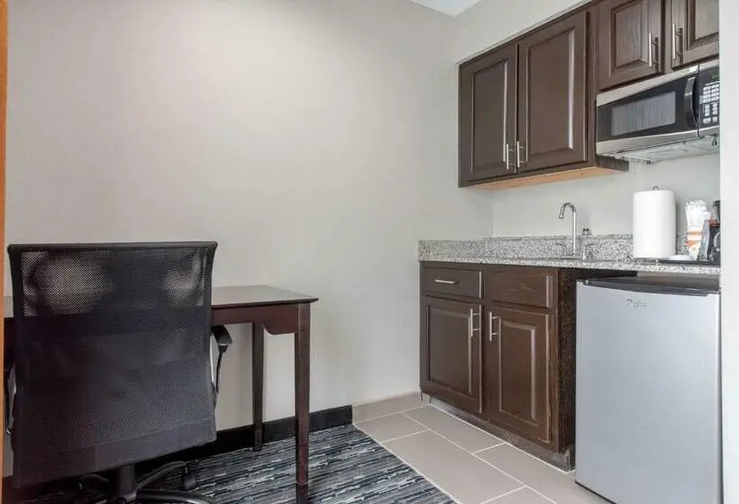 Sviitti King-vuode, Quality Inn & Suites Brownsburg Indianapolis West
