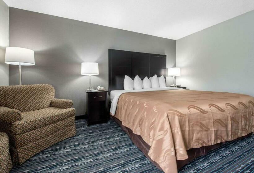 带大床的豪华间, Quality Inn & Suites Brownsburg   Indianapolis West