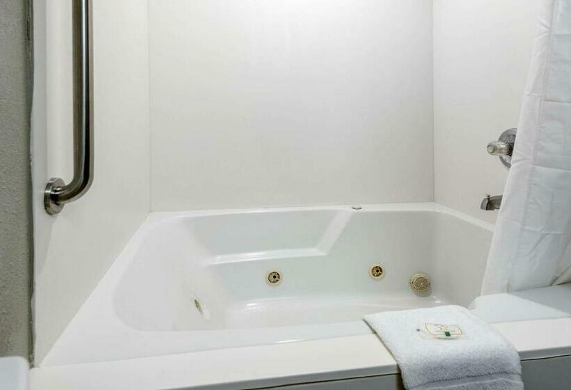 带大床的套房, Quality Inn & Suites Brownsburg   Indianapolis West