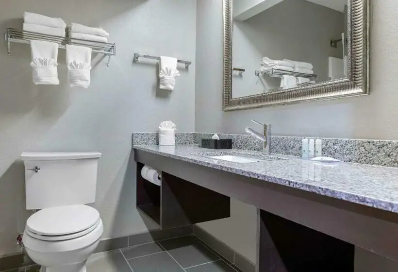 Standard-huone 2 Parivuodetta, Quality Inn & Suites Brownsburg Indianapolis West