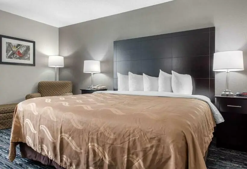 Deluxe-huone King-vuode, Quality Inn & Suites Brownsburg Indianapolis West
