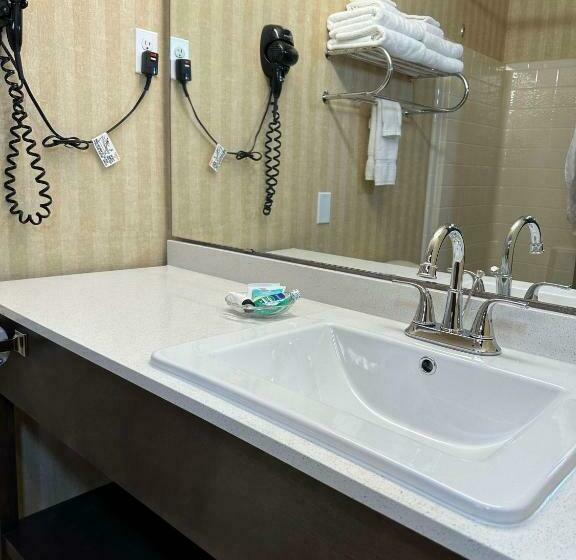 חדר סטנדרט, Surestay Plus By Best Western Enterprise