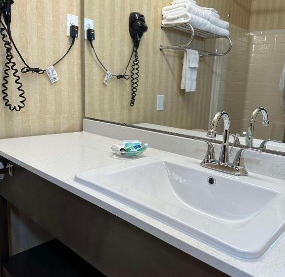 חדר סטנדרט עם מיטת קינג, Surestay Plus By Best Western Enterprise