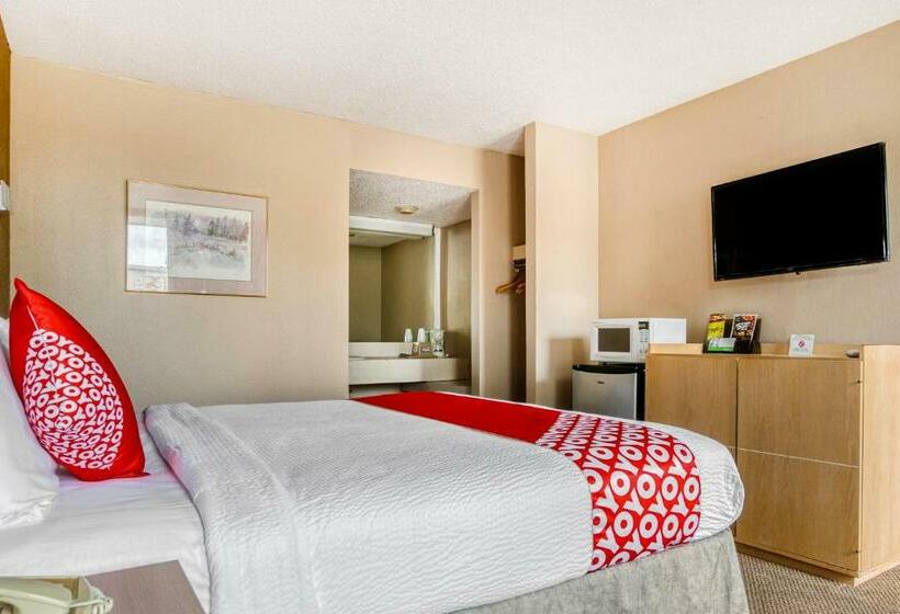 スタンダードルーム, Regency Inn And Suites Wichita Falls