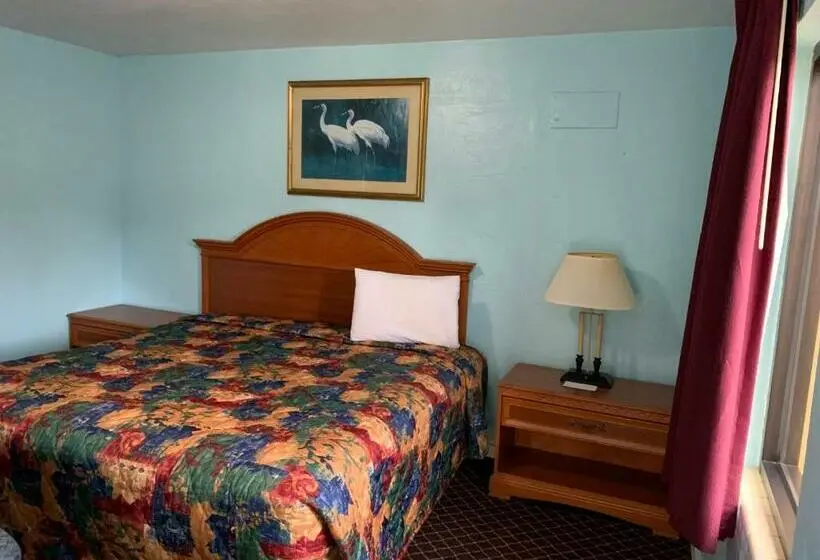 キングサイズベッドのスタンダードルーム, Travel Inn Daytona