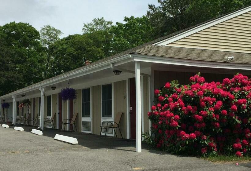 غرفه قياسيه سريرين مزدوجين, Viking Shores Motor Inn