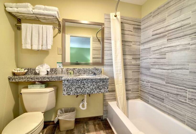 غرفة قياسية ذات إطلالة, Roosevelt Inn & Suites Saratoga Springs