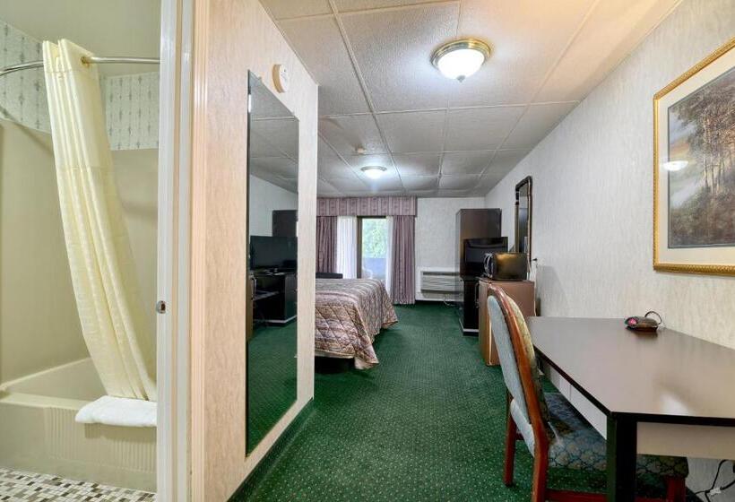 Стандартный Номер Кровать Кинг, Roosevelt Inn & Suites Saratoga Springs