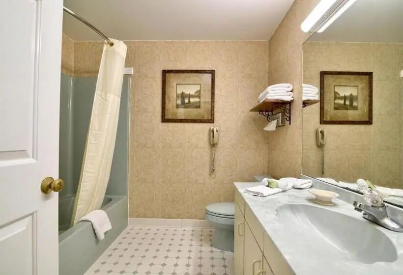 Sviitti King-vuode, Roosevelt Inn & Suites Saratoga Springs