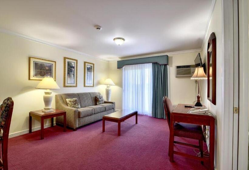 جناح إدارى سرير كينج, Roosevelt Inn & Suites Saratoga Springs