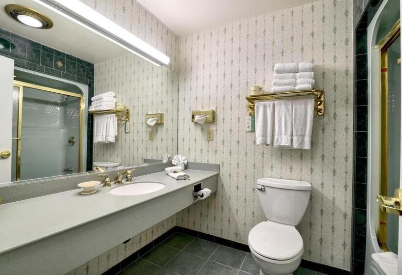 Номер Deluxe с Балконом, Roosevelt Inn & Suites Saratoga Springs