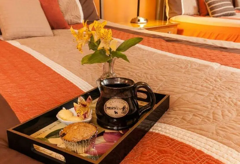 Sviitti, Scottish Bed & Breakfast