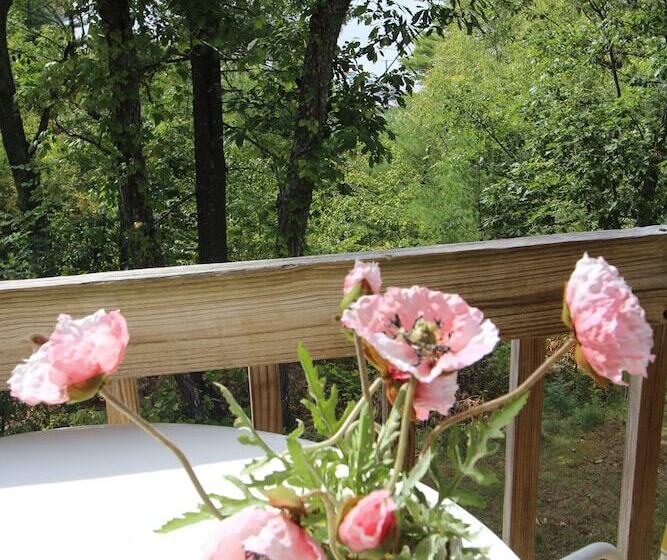 Апартаменты 1 Спальня, Tanglwood Resort