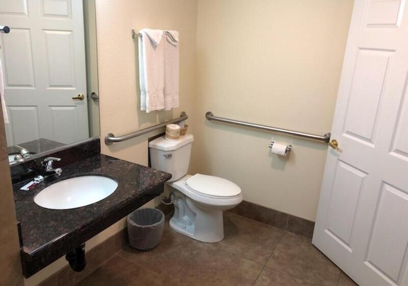 Одноместный Номер Стандарт Адаптированный для Инвалидов, Trails Motel