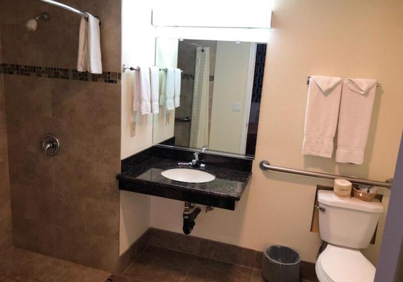 Одноместный Номер Стандарт Адаптированный для Инвалидов, Trails Motel