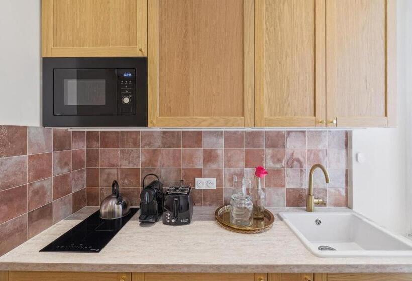 带1个卧室的经典公寓, Rivages Saint Ferréol