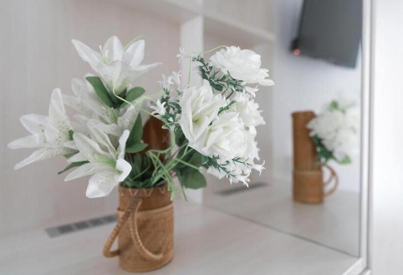 غرفة قياسية رباعية, Dodomar Selection