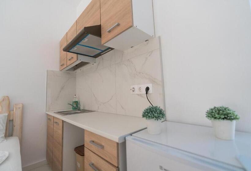 غرفة قياسية رباعية, Dodomar Selection