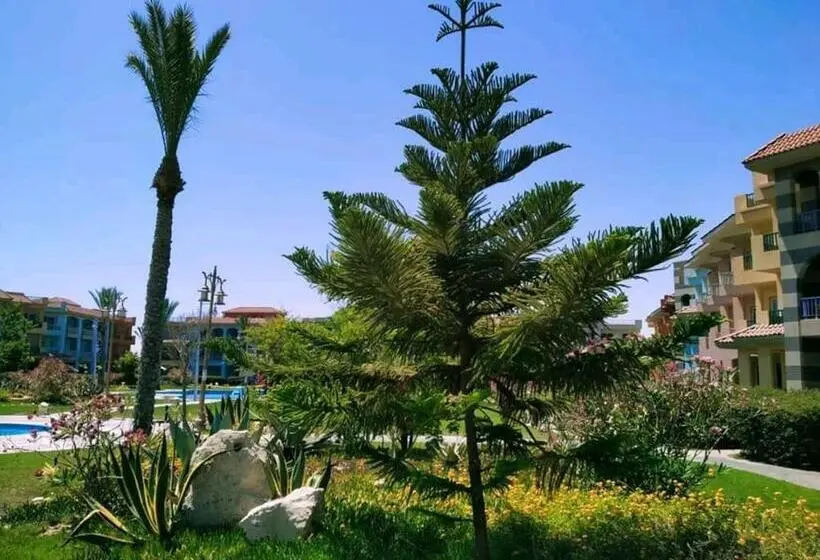 آپارتمان 1 خوابه با چشمانداز استخر, Porto Matrouh Green Beach Family S Only