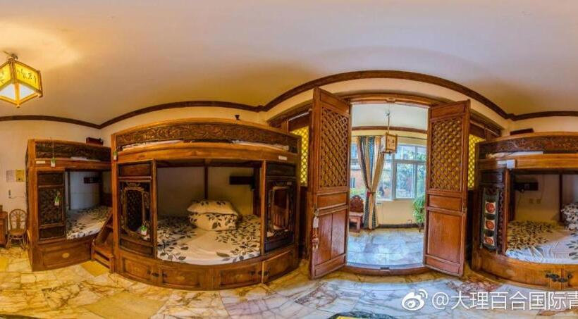 מיטה בחדר משותף, The Lily Pad Inn