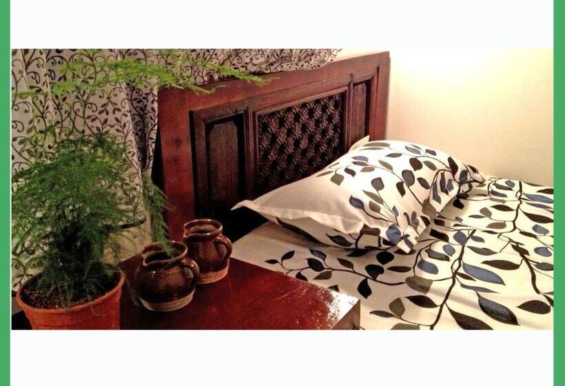 Quarto Estandar Banheiro Compartilhado, The Lily Pad Inn