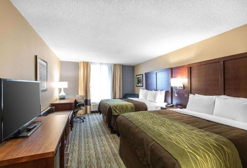 스탠다드 룸 강 전망, Comfort Inn Bay City  Riverfront