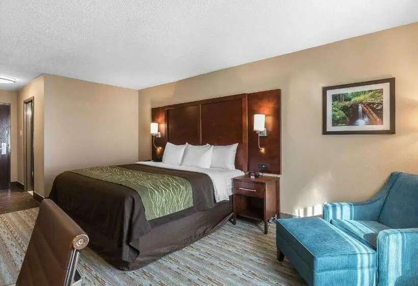 キングサイズベッドのスタンダードルーム, Comfort Inn Bay City  Riverfront
