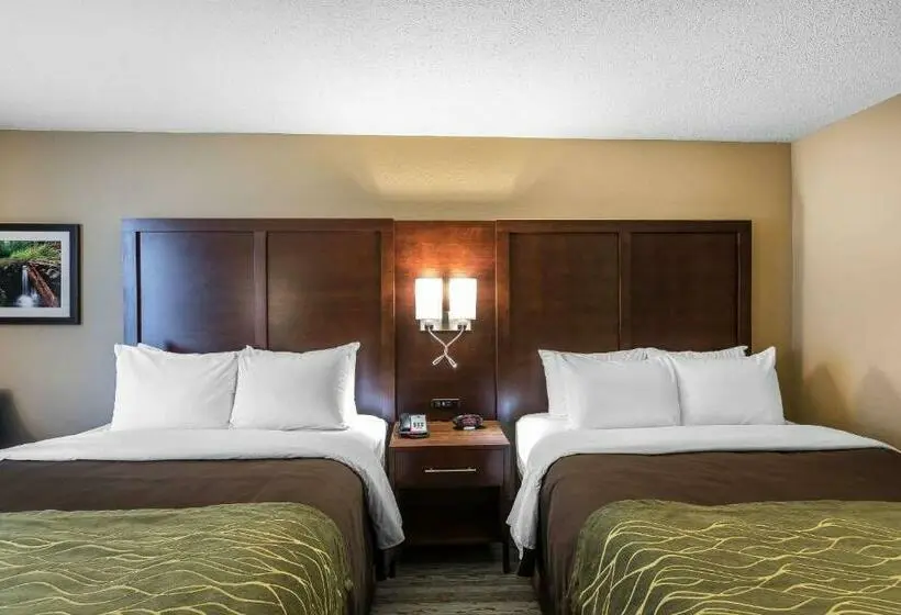 スタンダードルーム, Comfort Inn Bay City  Riverfront