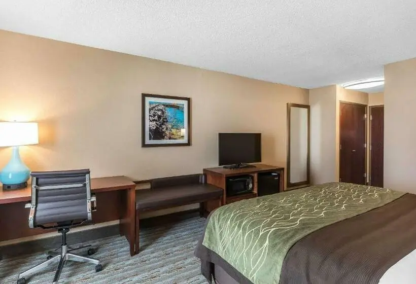 キングサイズベッドのスタンダードルーム, Comfort Inn Bay City  Riverfront
