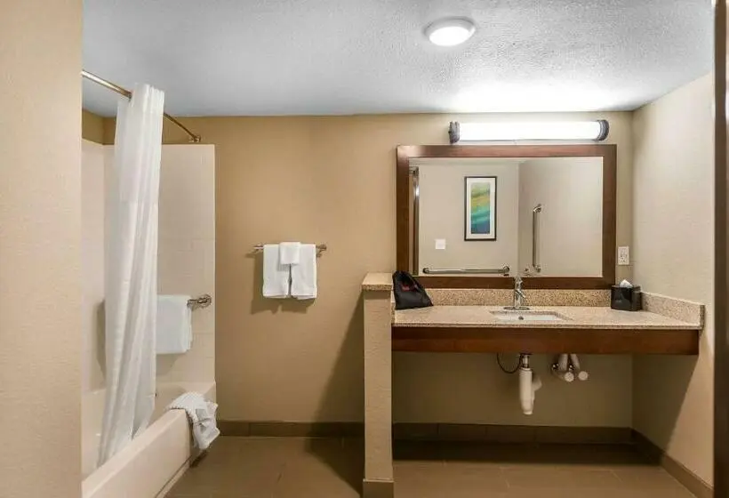 キングサイズベッドのスタンダードルーム, Comfort Inn Bay City  Riverfront