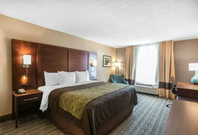 キングサイズベッドのスタンダードルーム, Comfort Inn Bay City  Riverfront