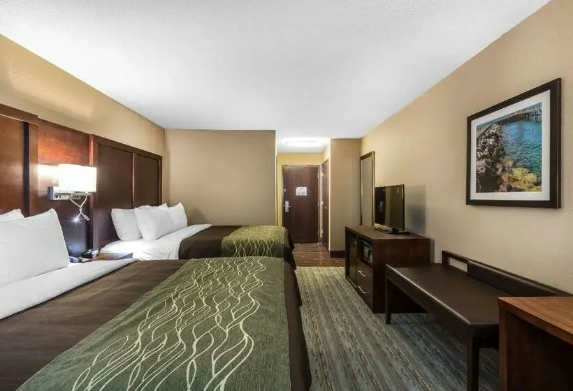 スタンダードルーム, Comfort Inn Bay City  Riverfront