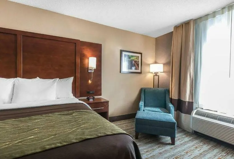 キングサイズベッドのスタンダードルーム, Comfort Inn Bay City  Riverfront