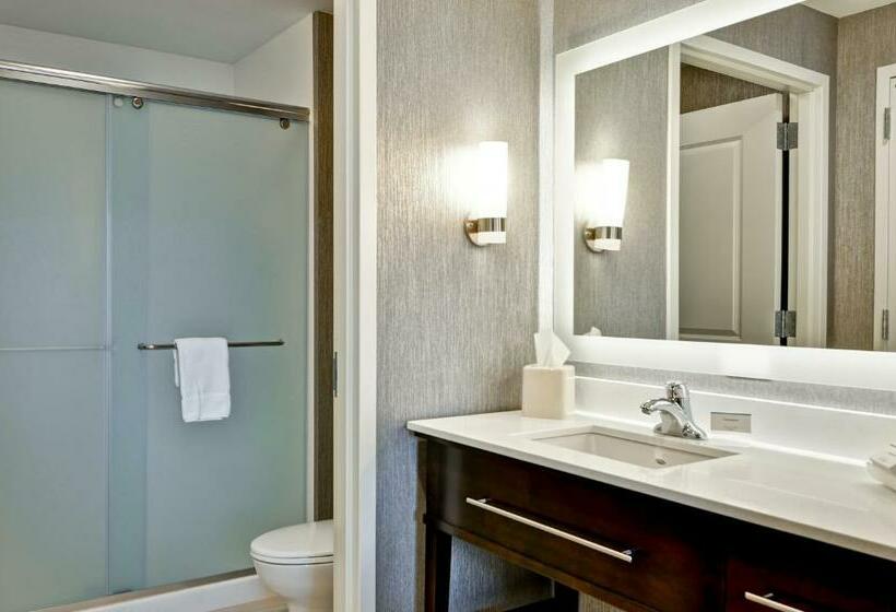 Люкс Кровать Кинг, Homewood Suites By Hilton Schenectady