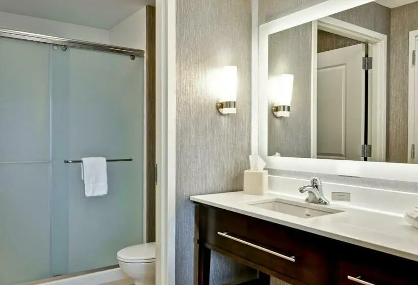 Sviitti King-vuode, Homewood Suites By Hilton Schenectady