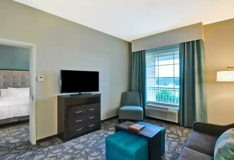 Sviitti King-vuode, Homewood Suites By Hilton Schenectady