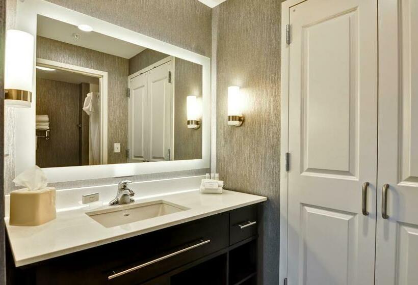 Suite, Homewood Suites By Hilton Schenectady