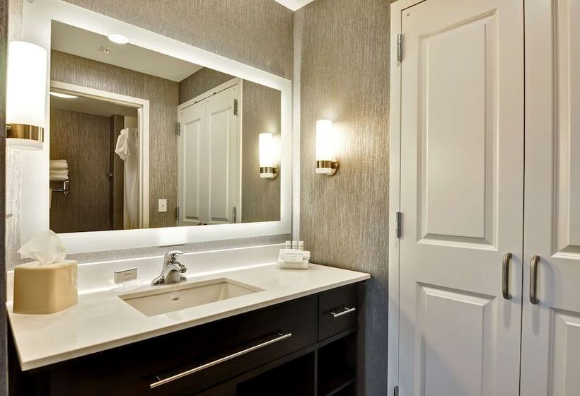 Люкс, Homewood Suites By Hilton Schenectady