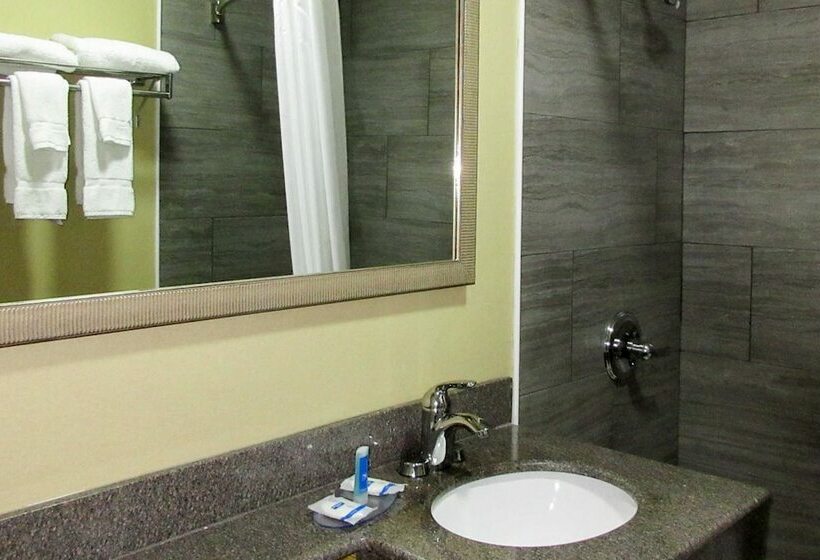 带2个双人床的标准工作室, Rodeway Inn