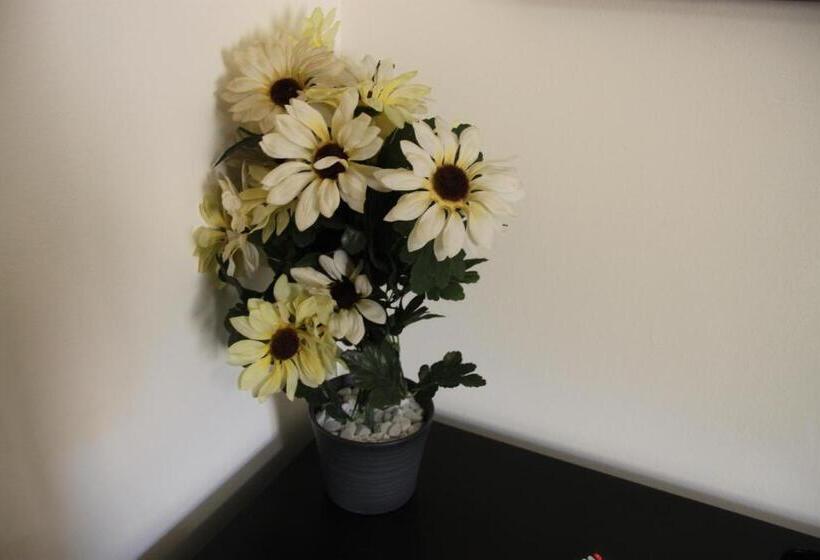 标准间, B&b Alexander Room And Breakfast