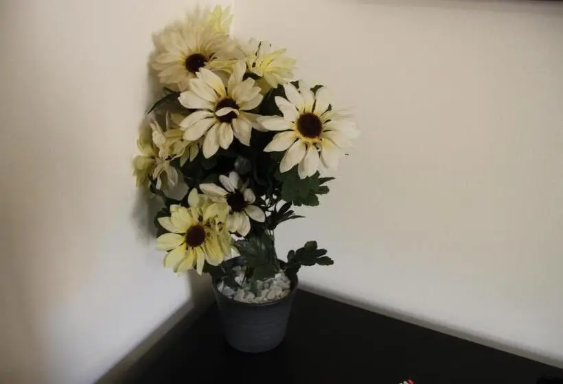 اتاق استاندارد, B&b Alexander Room And Breakfast